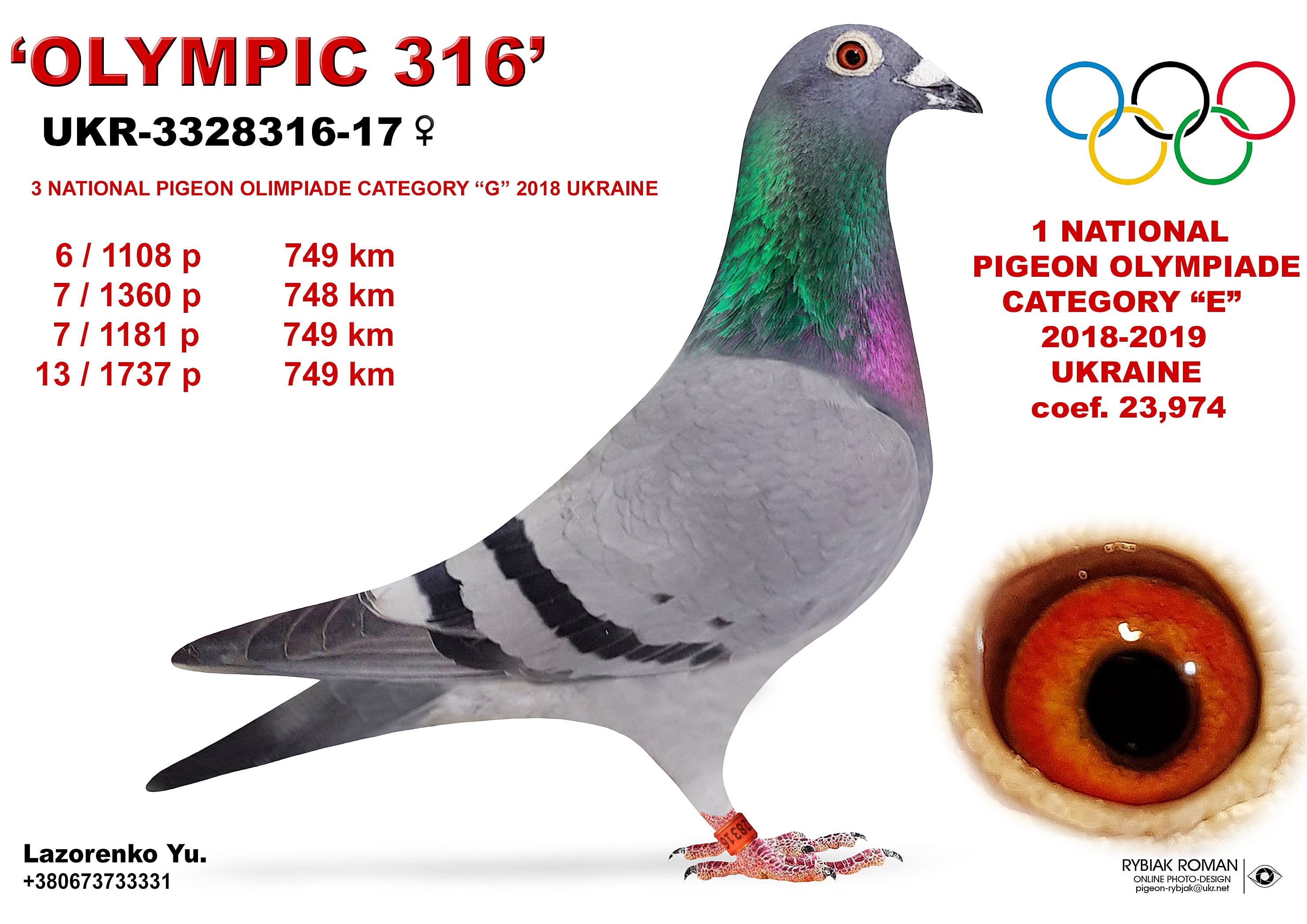 2019-E1